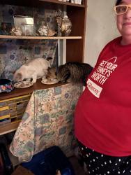 Lost Male Cat last seen Noel st Grass Valley, Grass Valley, CA 95945