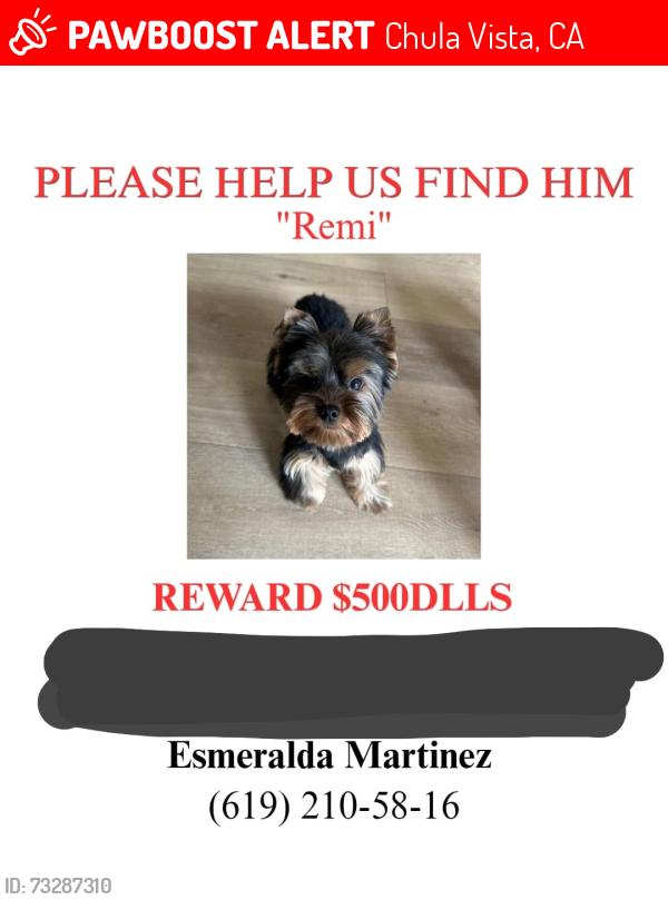 Lost Male Dog last seen Parker Mountain Rd, Chula Vista, CA 91913