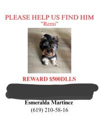Lost Male Dog last seen Parker Mountain Rd, Chula Vista, CA 91913