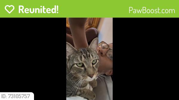 Reunited Male Cat last seen West 204th st and Post Avenue, New York, NY 10034