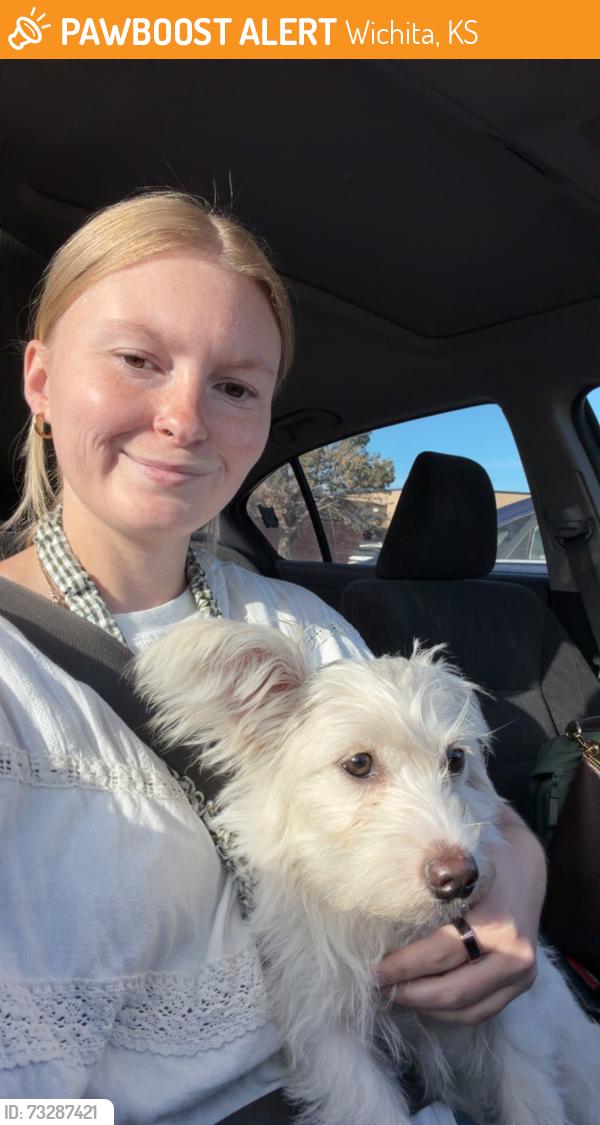Found/Stray Female Dog last seen Kellogg and Meridian, Wichita, KS 67204