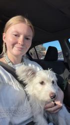 Found/Stray Female Dog last seen Kellogg and Meridian, Wichita, KS 67204