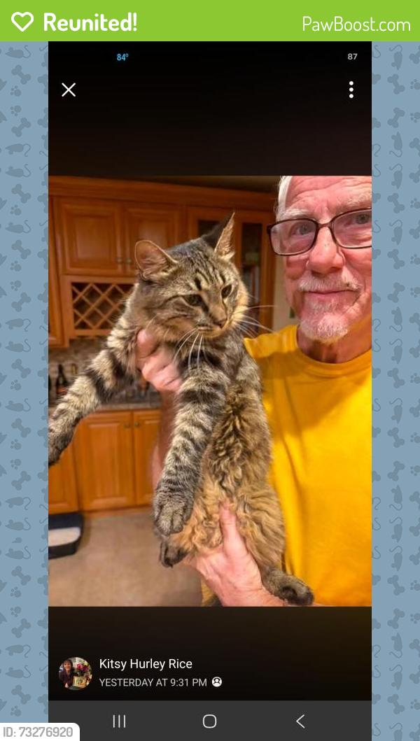 Reunited Unknown Cat last seen Tuskawilla rd, Seminole County, FL 32765