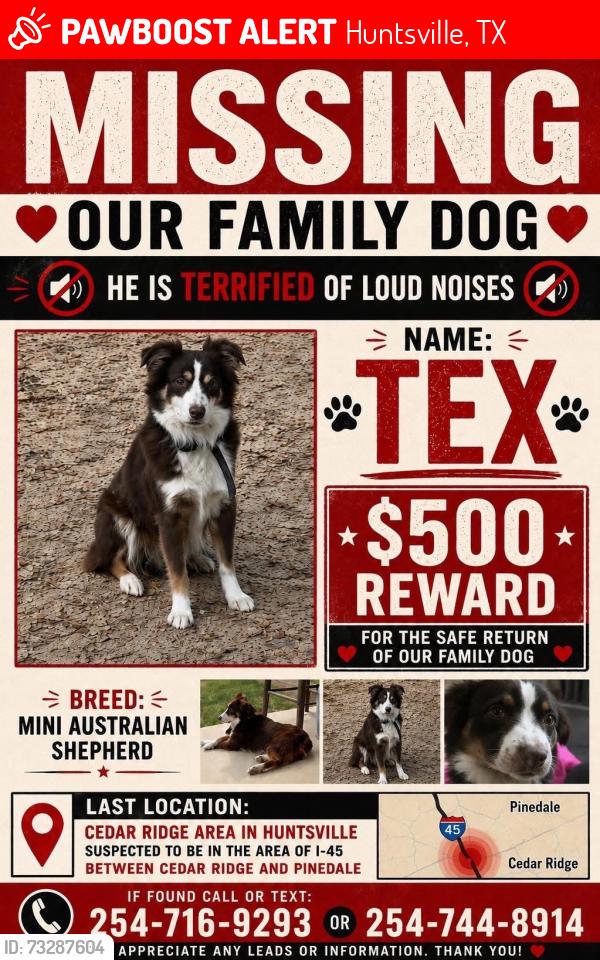 Lost Male Dog last seen Pinedale , FM 247, Huntsville, TX 77320