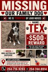 Lost Male Dog last seen Pinedale , FM 247, Huntsville, TX 77320