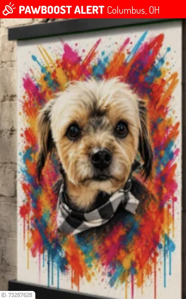 Lost Male Dog last seen 17th and forest, Columbus, OH 43206