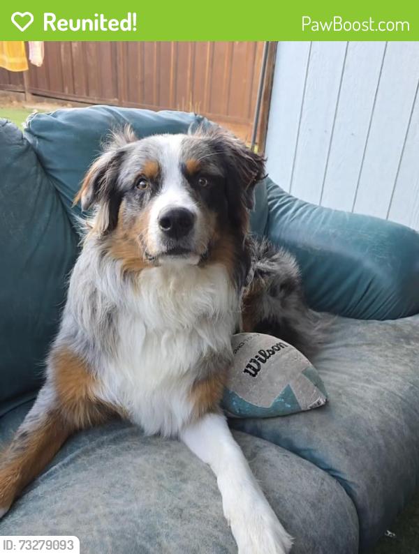 Reunited Male Dog last seen Norfolk, San Mateo, CA 94401