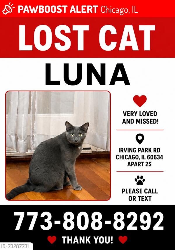 Lost Female Cat last seen N, Chicago, IL 60634
