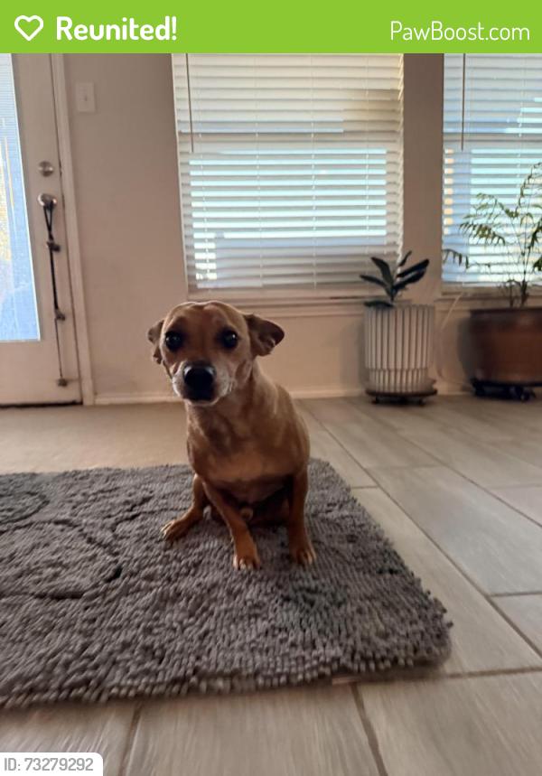 Reunited Male Dog last seen Willow branch and barberry tree, Fort Worth, TX 76036