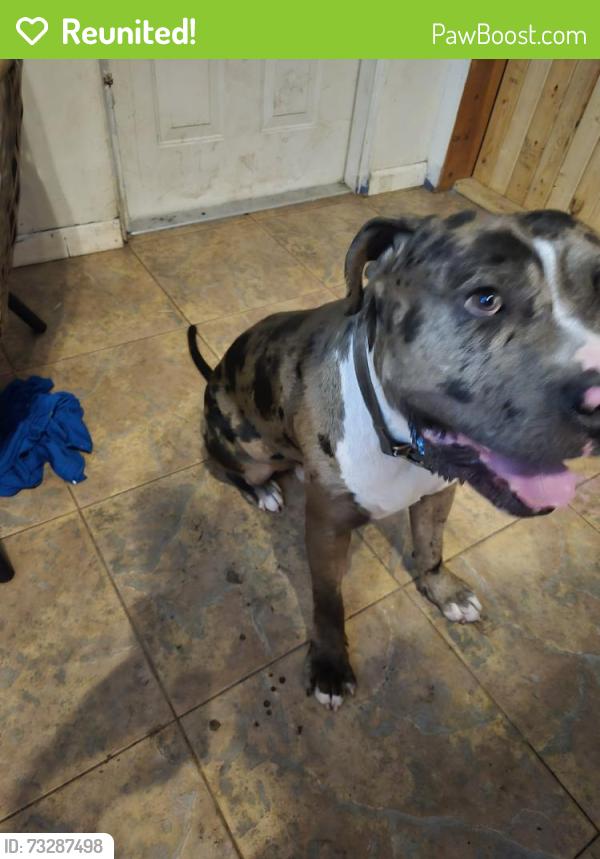 Reunited Male Dog last seen 30th ave e - by K&S, Bradenton, FL 34208