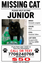Lost Male Cat last seen Near raintree dr roswell ga, Roswell, GA 30076