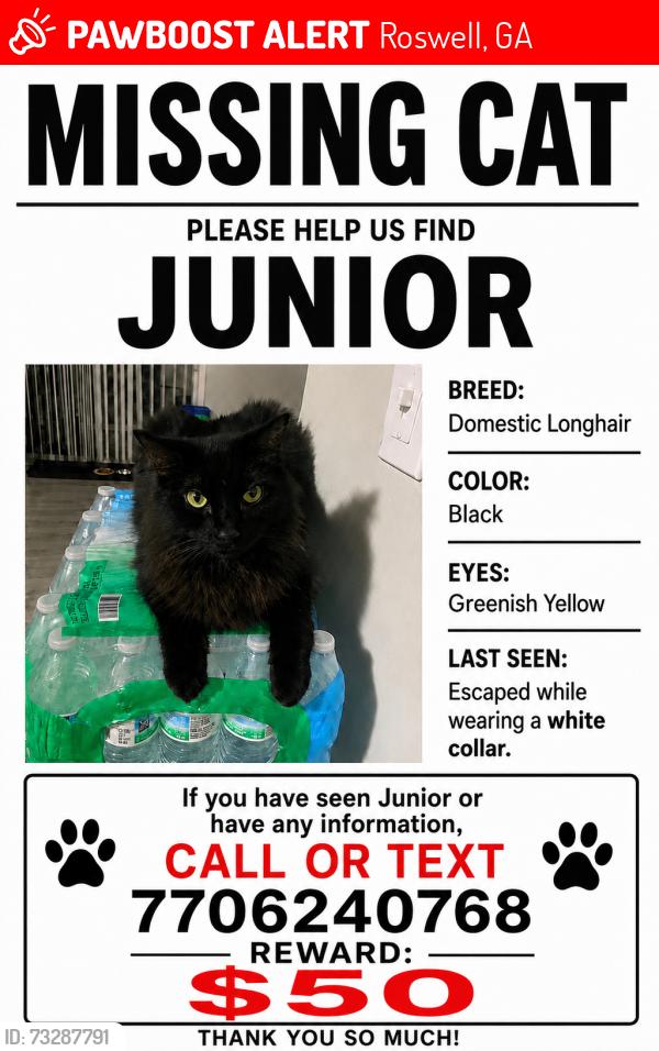 Lost Male Cat last seen Near raintree dr roswell ga, Roswell, GA 30076