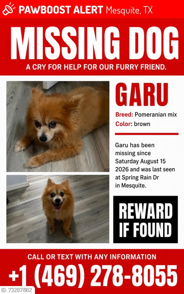 Lost Male Dog last seen Spring Rain Dr, Mesquite, TX 75181