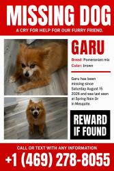 Lost Male Dog last seen Spring Rain Dr, Mesquite, TX 75181