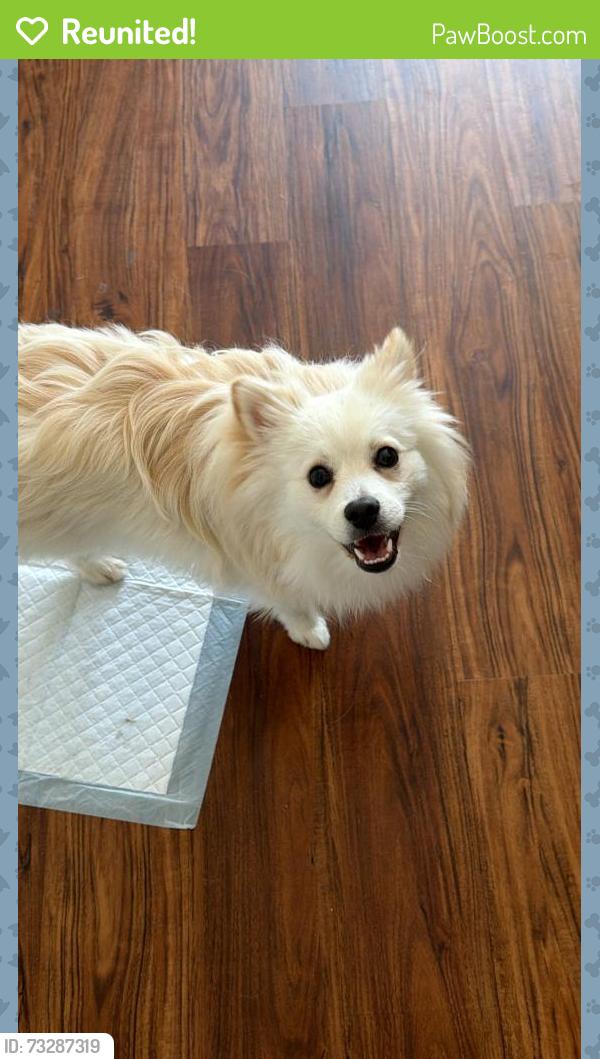Reunited Male Dog last seen Cramont, Alum Rock, CA 95127