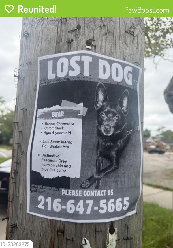 Reunited Male Dog last seen Menlo rd, Shaker hts,Ohio, Shaker Heights, OH 44120