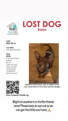 Reunited Male Dog last seen Northwest Park, Santa Rosa, CA 95403