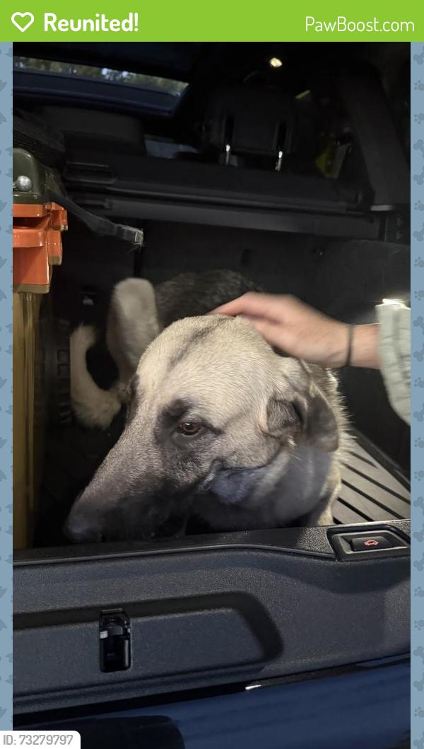 Reunited Unknown Dog last seen Entrance to North Shore Rd & North Star Dr, Truckee, CA 96161