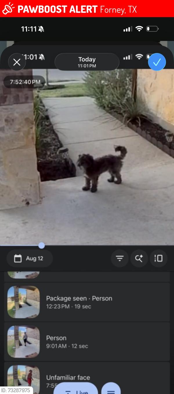 Lost Male Dog last seen Pleasant knoll circle, Forney, TX 75126
