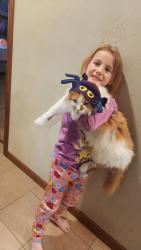 Lost Male Cat last seen W 41 frontage rd and Garrity rd, Kaukauna, WI 54130