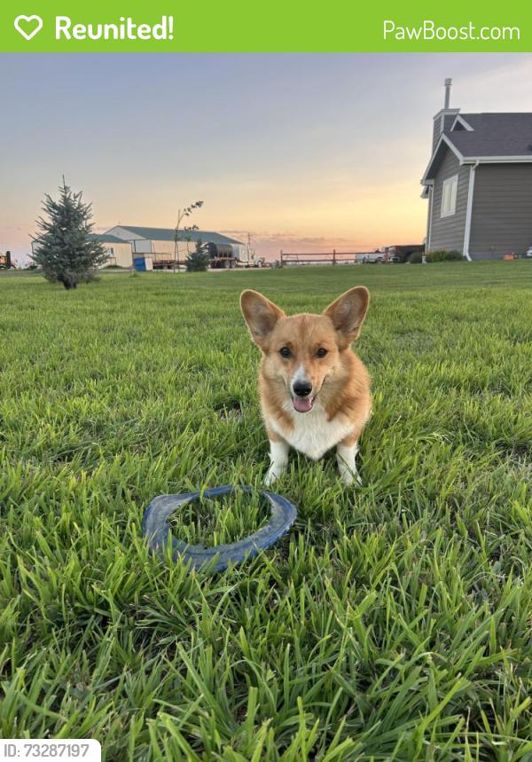 Reunited Male Dog last seen Country Road 150 and Country Road 201 Carpenter, WY, Carpenter, WY 82054