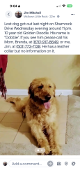 Reunited Male Dog last seen Shamrock Dr west of Hughes, Little Rock, AR 72205