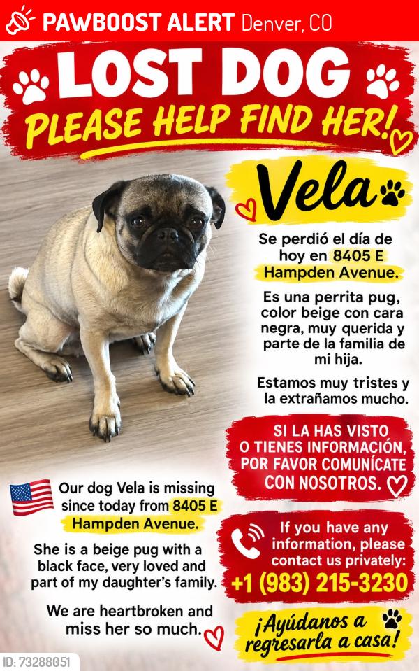 Lost Female Dog last seen Near E Hampden av Denver co 80231, Denver, CO 80231