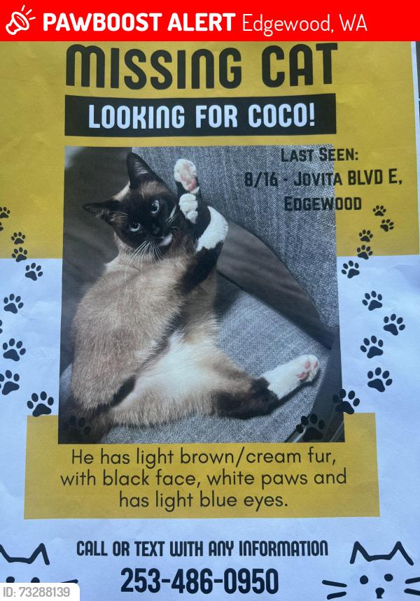 Lost Male Cat last seen 114th Ave E, Edgewood, WA 98372