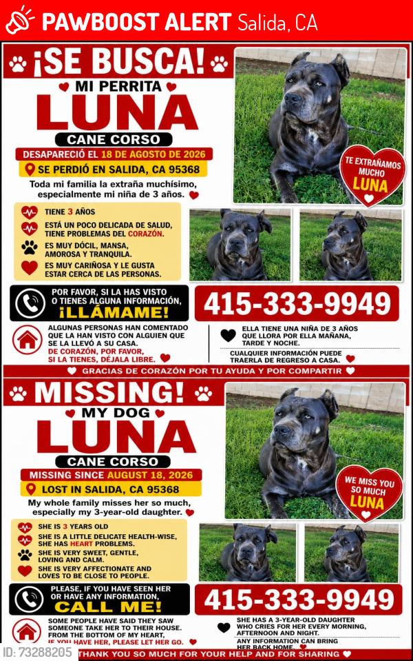 Lost Female Dog last seen Zinfandel ave / Kiernan ave, Salida, CA 95368