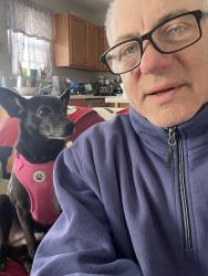 Reunited Female Dog last seen Baldwin St, Arden, NC 28704