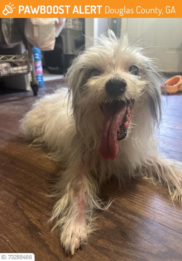 Found/Stray Male Dog last seen Kilroy ln, Douglasville, GA, Douglas County, GA 30135