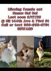 Lost Female Bird last seen 73rd St. and 144th Ave. Near Sifton Elementary School., Vancouver, WA 98682