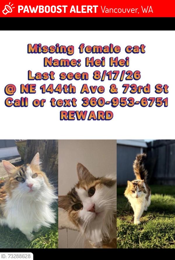Lost Female Bird last seen 73rd St. and 144th Ave. Near Sifton Elementary School., Vancouver, WA 98682
