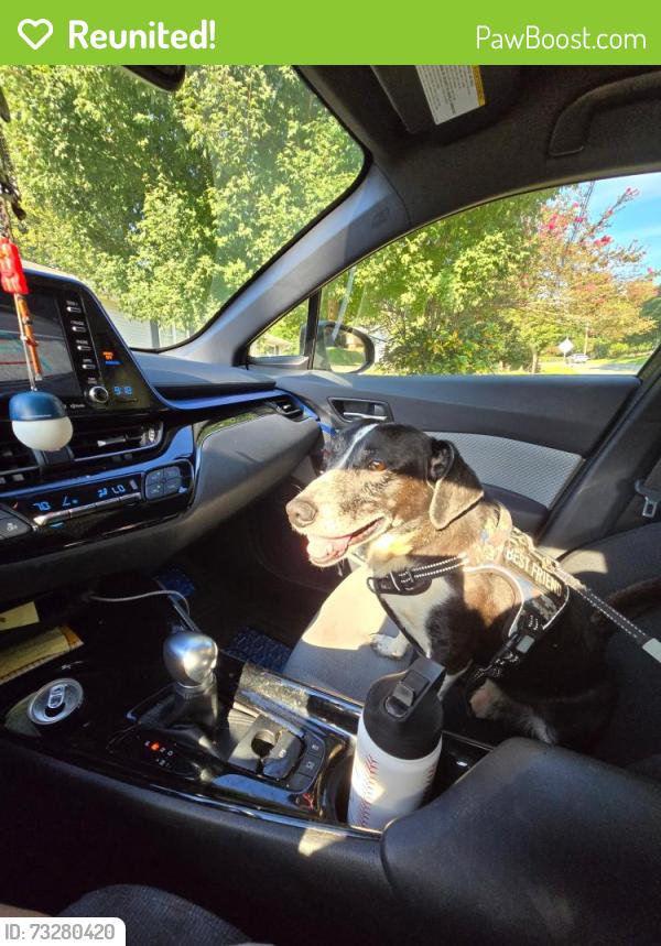 Reunited Male Dog last seen Dupree Road, Woodstock, GA 30066