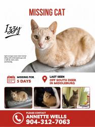 Lost Male Cat last seen Beaver ave, Middleburg, FL 32068