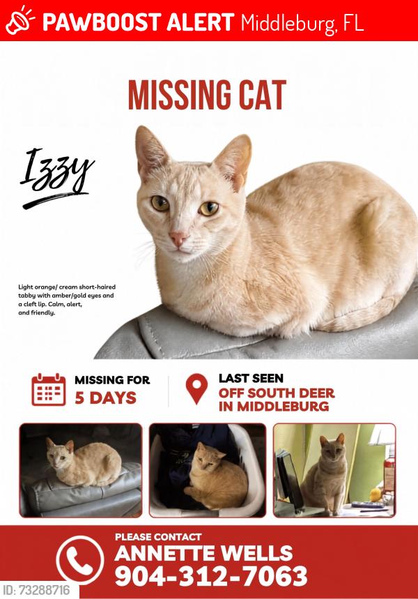 Lost Male Cat last seen Beaver ave, Middleburg, FL 32068