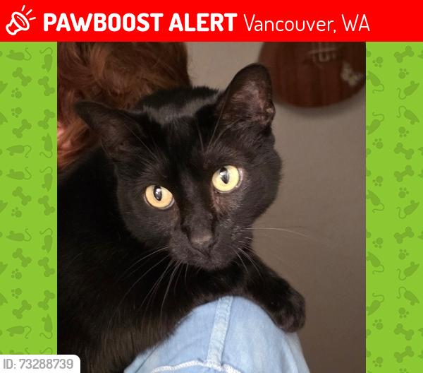 Lost Male Cat last seen The reserve, Vancouver, WA 98683