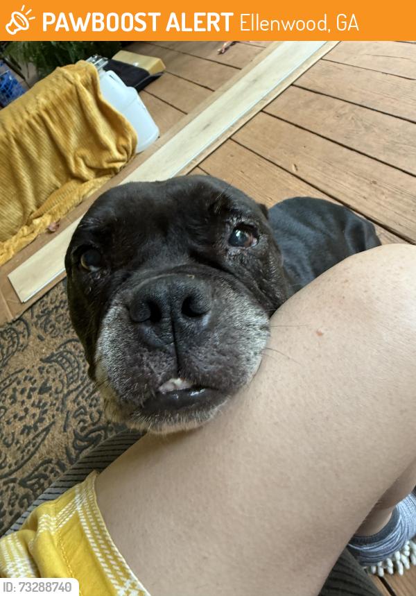 Found/Stray Female Dog last seen Panola mountain golf course, Ellenwood, GA 30294