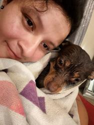 Reunited Male Dog last seen Cage park / 51 Maplewood, Chicago, IL 60632