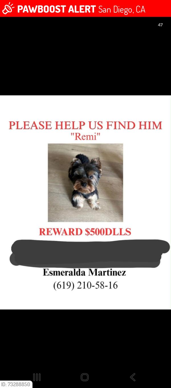 Lost Male Dog last seen Del Sol Ave, San Diego, CA 92173