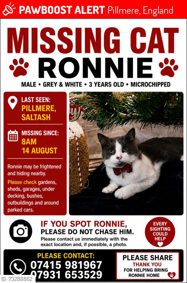 Lost Male Cat last seen Pillmere green, Pillmere, England 