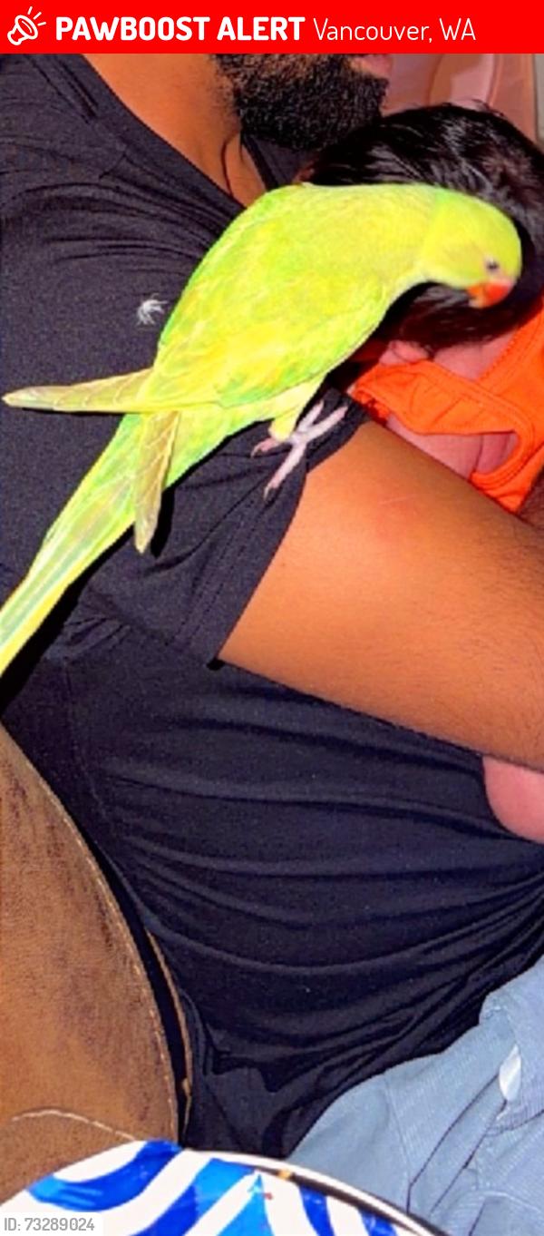 Lost Unknown Bird last seen Near SE 3rd St, Vancouver, WA 98684, Vancouver, WA 98684