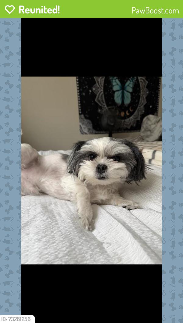 Reunited Male Dog last seen E Iliff Ave & S Xanadu Way, Aurora, CO 80014, USA, Aurora, CO 80014