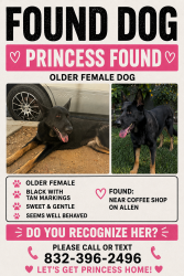 Reunited Female Dog last seen Allen st, Altadena, CA 91001