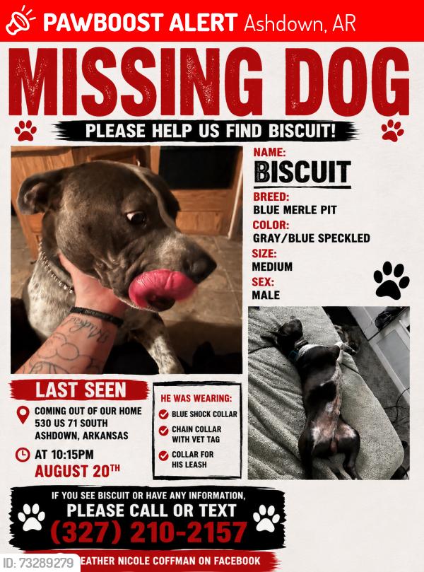 Lost Male Dog last seen Near us 71 s ashdown Arkansas, Ashdown, AR 71822