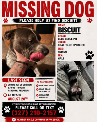 Lost Male Dog last seen Near us 71 s ashdown Arkansas, Ashdown, AR 71822
