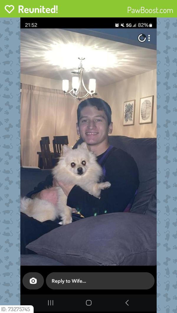 Reunited Female Dog last seen Cabrillo Ranch, Peoria, AZ 85383