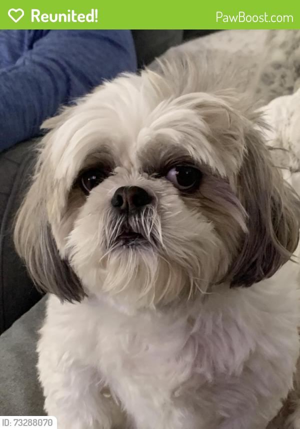 Reunited Male Dog last seen Winding Creek, Millstone Township, NJ 08535