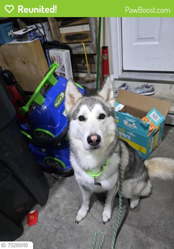 Reunited Male Dog last seen In the apmt complex by montalto and jefferson, Cheyenne, WY 82007