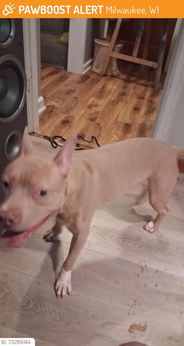 Found/Stray Male Dog last seen 76th and goodhope, Milwaukee, WI 53225